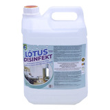 Lótus