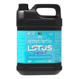 Lótus