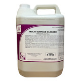 Detergente Limpeza Pesada Piso Multi Surface Cleaner Spartan