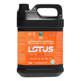 Detergente Universal All 01 Lótus Para Estofados 5l