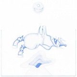 devendra banhart-devendra banhart Cd Devendra Banhart Ape In Pink Marble