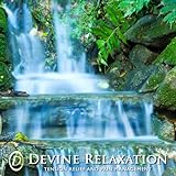 Devine Relaxation A CD For Sleep Anxiety And Pain Management
