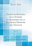 Diario De Sesiones De La Camara De Senadores De La República Oriental Del Uruguay Vol 10 Classic Reprint 