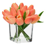Dilatata Tulipas De Pêssego Artificiais Em Vaso Com Água Fa