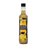 Dilute Xarope Limão Siciliano Sabor Limão Siciliano 500 Ml