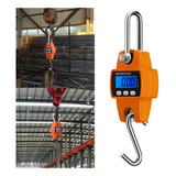Dinamômetro Digital Gancho 300kg Eletônico Portátil