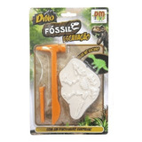 Dino Fossil Escavação Brilha No Escuro