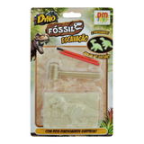 Dino Fóssil Escavação Brilha No Escuro Dmt5755 - Dm Toys