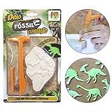 Dino Fossil Escavacao Colecao Sortido DM Toys