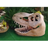 Dinossauro Cabeça Crânio Decoração Festa T rex Aluguel