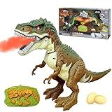 Dinossauro Rex 40cm De Controle Remoto Com Som Luz Solta Fumaça Bota Ovo