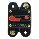 300a