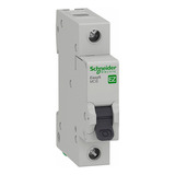 Schneider