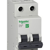 Schneider