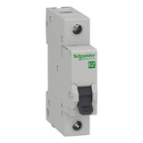 Schneider