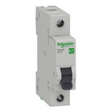 Schneider