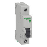 Schneider