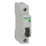 Schneider