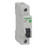 Schneider