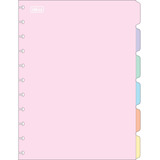 Divisória Caderno Inteligente E Tilidisco Grande C 6 Pastel
