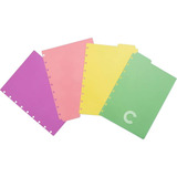 Divisoria Caderno Inteligente Medio Pastel