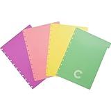 Divisória Grande 4 Abas Pastel CIDG4003 Caderno Inteligente