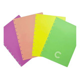 Divisórias Pastel Médio Caderno Inteligente Weci