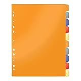 Divisórias Polipropileno Jogo 10 DAC Divisórias Polipropileno Jogo 10 6922 CL Colorido 6922 CL