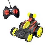 DM Toys Carrinho Controle Remoto Sem Fio Crazy Fox