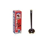 DNJ Válvula De Escape EV1122 Para 1999-2006 - Dodge- Jeep-Cherokee- Dakota- Grand Cherokee- Wrangler - 2-5L- 4-0L - OHV - L4- L6 - 12V- 8V - 150cid- 153cid- 242cid-VIN P- VIN S