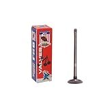 DNJ Válvula De Escape EV151 Para 1995-2010 - Chrysler- Dodge- Jeep- Plymouth-Breeze- Caravan- Cirrus- Grand Caravan- Grand Voyager- Liberty- PT Cruiser- Sebring- Stratus - 2-4L - DOHC-VIN 9- VIN B