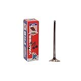 DNJ Válvula De Escape EV710 Para 1999-2012 - Saab- Subaru - 9-2X- Baja- Forester- Impreza- Legacy- Outback - 2-2L- 2-5L - SOHC - H4 - 16V - 2212cc- 2458cc - EJ222- EJ223- EJ22E- EJ251- EJ252- EJ253- EJ259