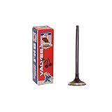 DNJ Válvula De Escape EV720 Para 2004-2014 - Saab- Subaru - 9-2X- Baja- Forester- Impreza- Legacy- Outback - 2-5L - DOHC - H4 - 16V - 2458cc - EJ255- EJ257