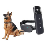 Domine O Treinamento Canino Com Nosso Colar Inteligente