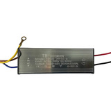 Bivolt