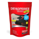 Drykoprimer Acqua 1l similar Eco Asfalto eco Primer Sika 