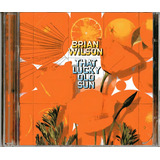 Dvd Brian Wilson That Lucky Old Cd Dvd