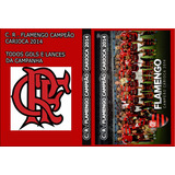 Dvd Flamengo Campeão Carioca 2014 2017