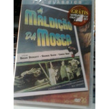 Dvd Original Do Filme A Maldição