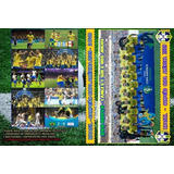 Dvd Seleção Brasileira Campeão Copa América