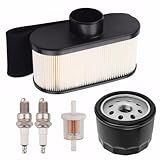 Dylawnio Kit De Ajuste FR691V Para Kawasaki FR651V FR730V FS481V FS541V FS600V FS730V FS651V Cortador De Grama Motor 4 Tempos 11013 7047 Filtro De Ar FR691V Kit De Troca De óleo AM125424 492932 49066