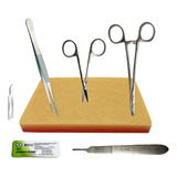 Easy Suture Simulador Standard Kit Sutura Avançado