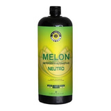 Easytech Shampoo Automotivo 1 400 Melon
