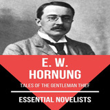 Ebook Essential Novelists