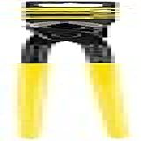 Eda