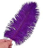 Eforcase Pacote Com 2 Penas De Avestruz Naturais Penas De Avestruz Plumas A Granel Para Artesanato Decorações De Casa Para Festas De Casamento