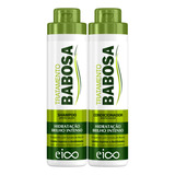 Eico Tratamento Babosa Aloe Vera Alecrim Shampoo Fortificante Sem Sal Hidratação 800ml E Condicionador Leave in Maciez 750ml Fortalecimento Crescimento Capilar