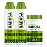 Eico Tratamento Babosa Shampoo Sem Sal 800ml Condicionador Leave in 750ml Máscara Hidratação Brilho Intenso 1kg