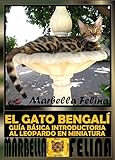 El Gato Bengalí Guía Básica