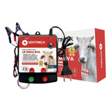 Eletrificador Cerca Elétrica Rural 30km Luz E Bateria 12v 12v 127 220v